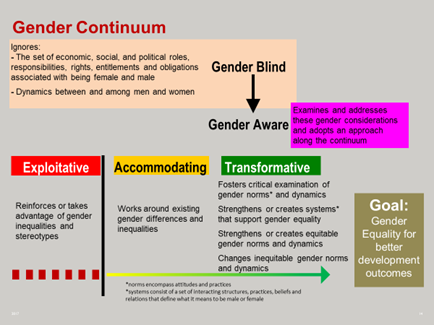 Figure 1: The Gender Continuum