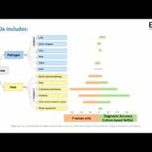 Embedded thumbnail for Bm2Dx: The one-stop platform for TB diagnostic biomarker evidence, quality and R&amp;amp;D progress